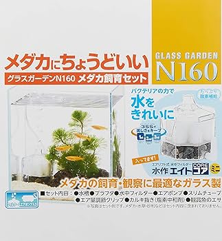 Amazon | 水作 グラスガーデンN160 メダカ飼育セット | 水作株式会社